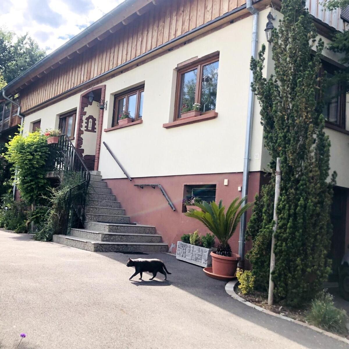 Gite de Léa Bischwiller Extérieur photo