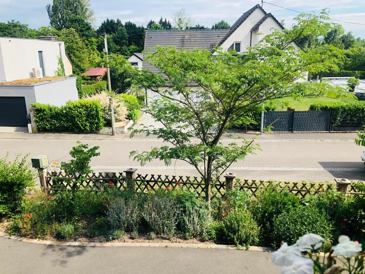 Gite de Léa Bischwiller Extérieur photo