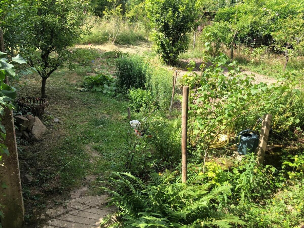Gite de Léa Bischwiller Extérieur photo